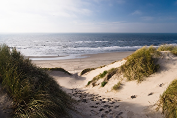 nederlandsezeemetduinen1