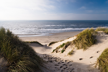 nederlandsezeemetduinen2