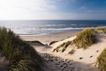 nederlandsezeemetduinen3